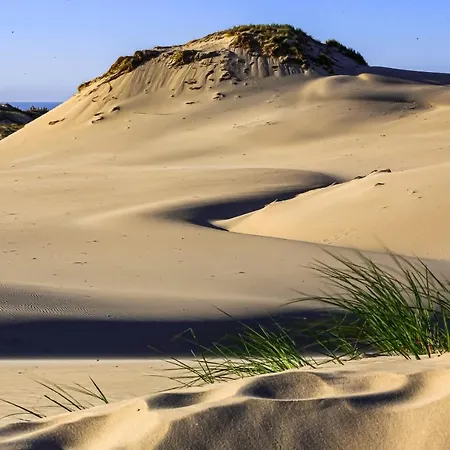 Dom Atalia Wynajem Pokoi Maison d'hôtes Łeba