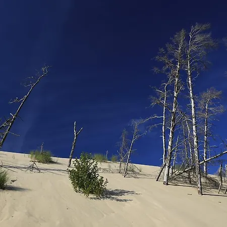 Dom Atalia Wynajem Pokoi Maison d'hôtes