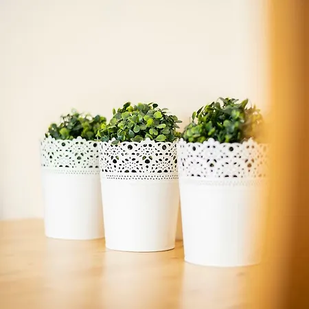 Dom Atalia Wynajem Pokoi Pensjonat Łeba