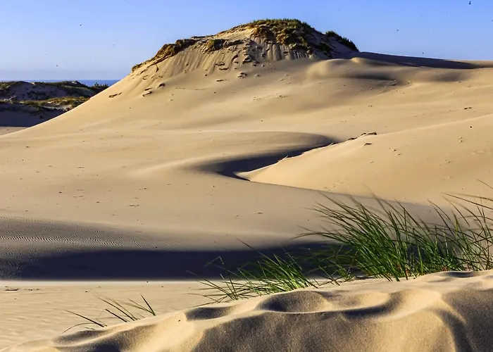 Dom Atalia Wynajem Pokoi Pensjonat Łeba