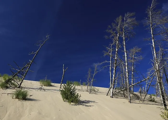 Dom Atalia Wynajem Pokoi Pensjonat