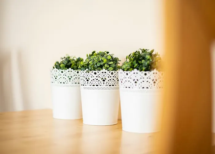 Dom Atalia Wynajem Pokoi Pensjonat Łeba